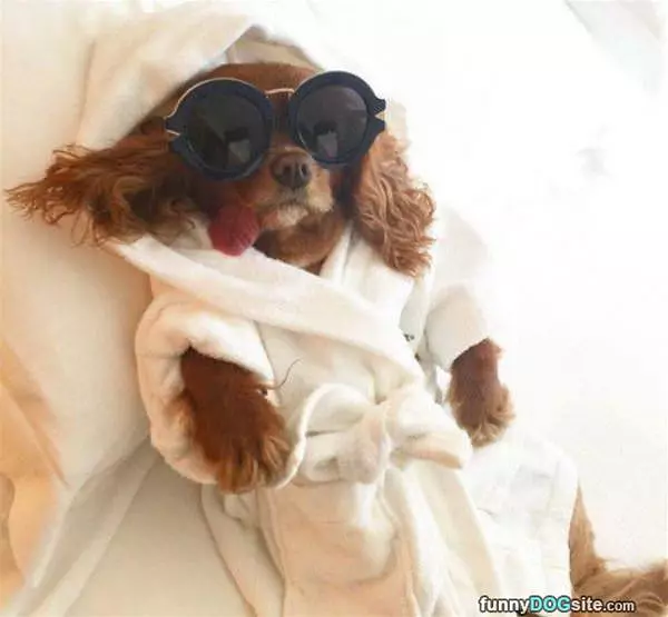 Pampered