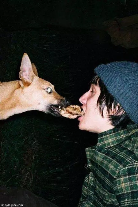 Sharing
