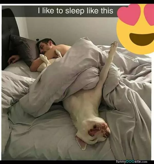 I Like To Sleep Like This