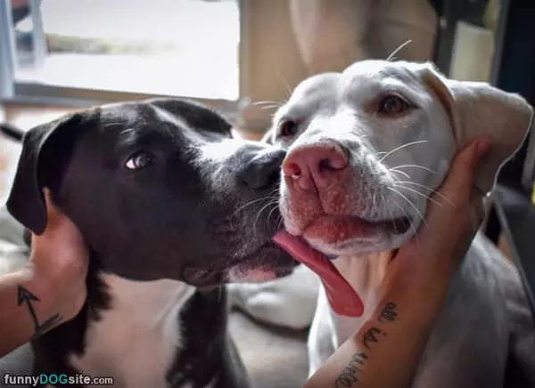 Giving Some Kisses