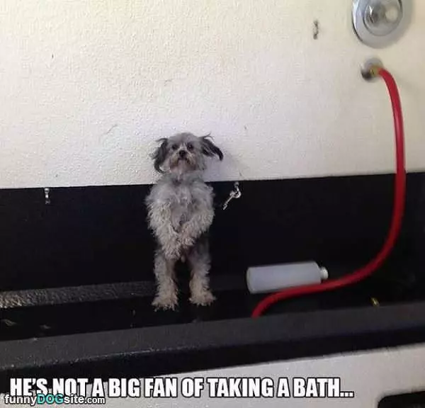 Not A Big Fan