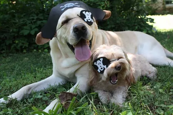 Yarrr Pirates