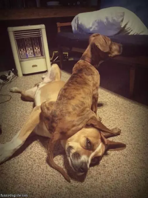 Sit On Your Head