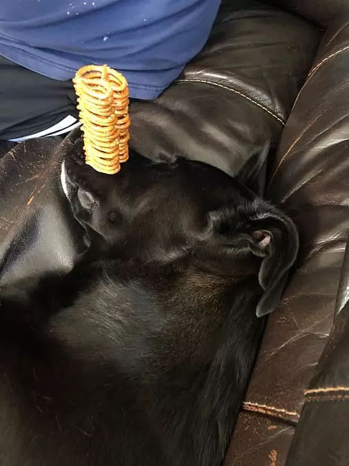 Stacking Some Snacks