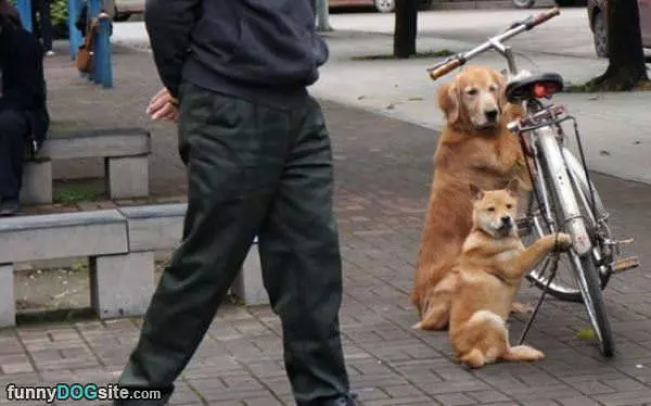 Guarding This Bike