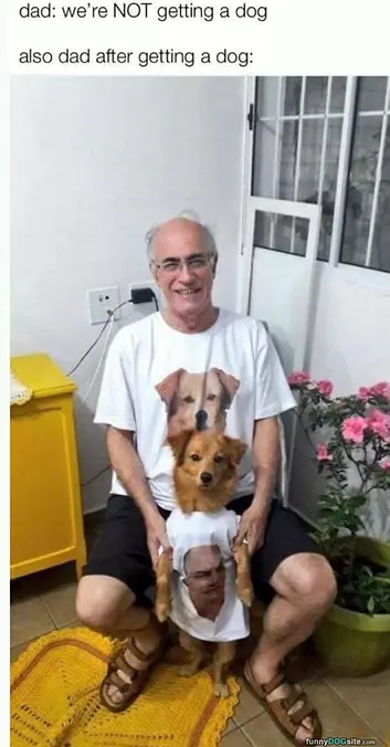 Not Getting A Dog