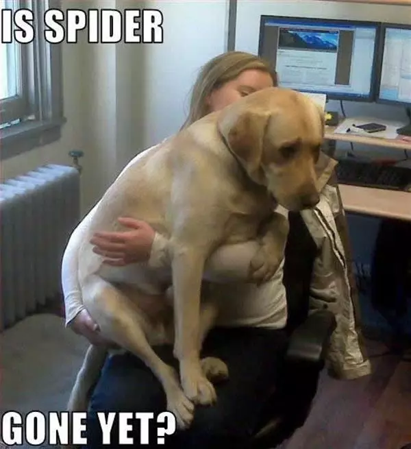 Is It Gone Yet