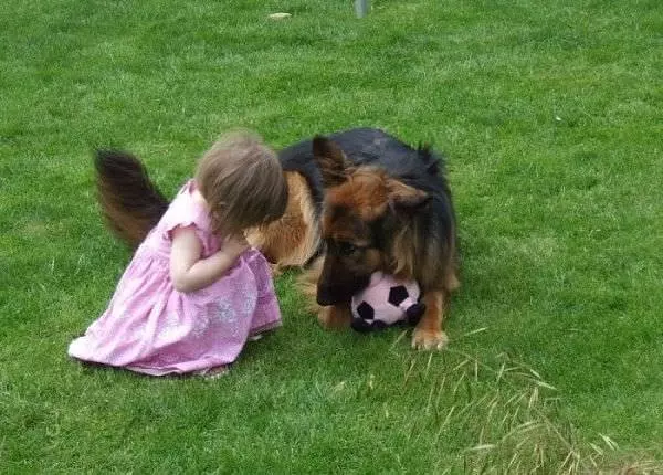 Its My Ball
