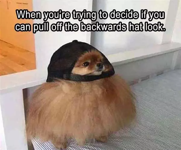 The Backwards Hat Look