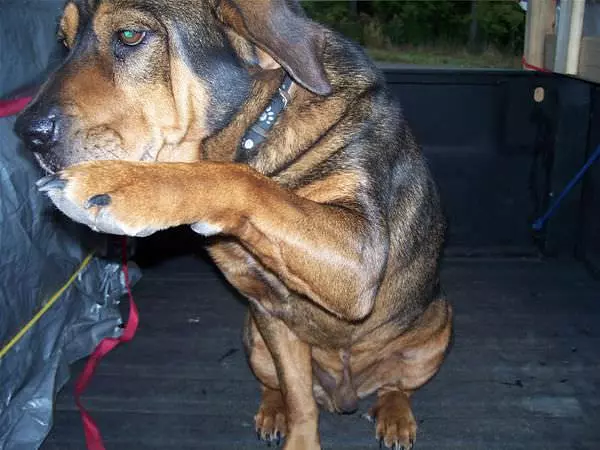 Stoney Wants A Treat