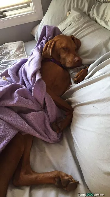 Under A Blanket