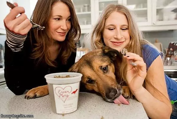 Can I Has Some