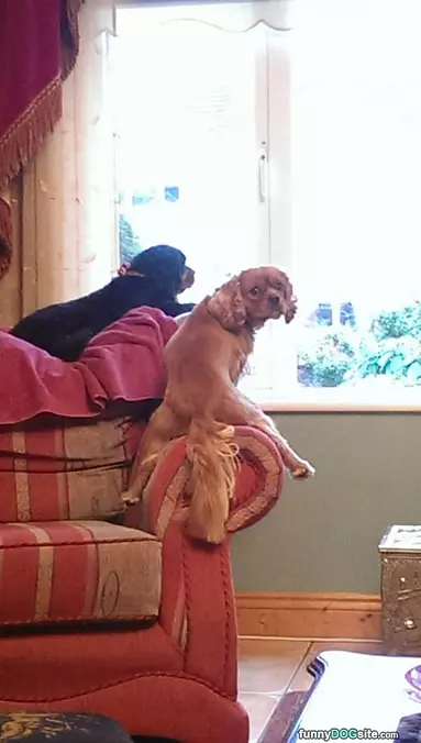 Whats Going On Out There