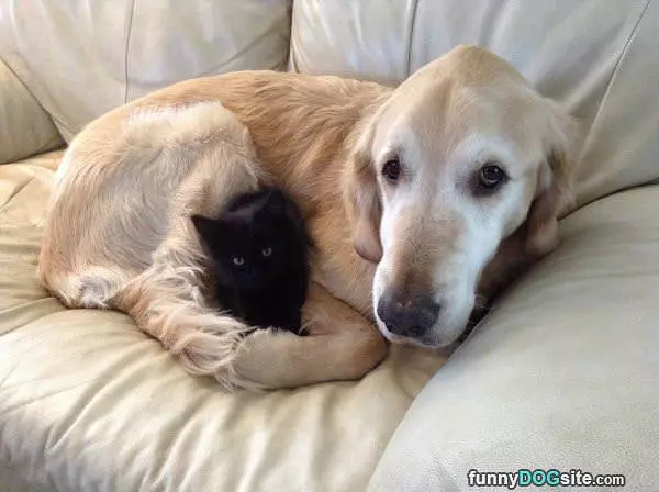 Cuddling Together Here