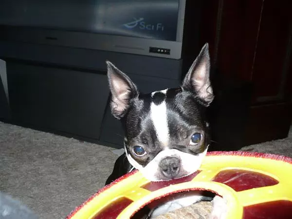Someone Play With Me