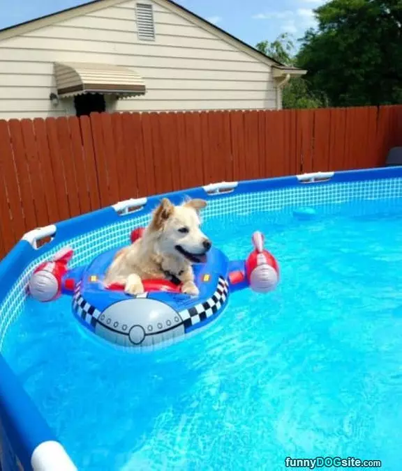 Chillin In The Pool