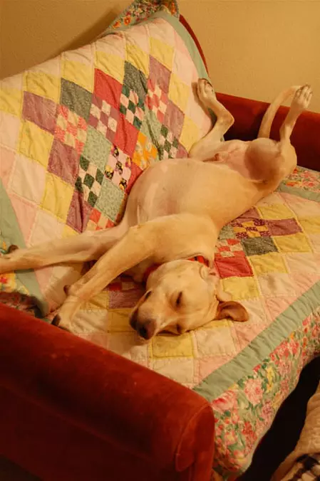 Back Sleeper