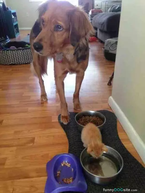 Do We Have To Share