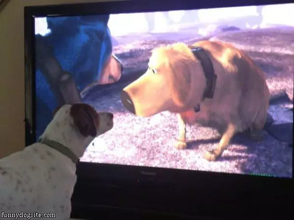 Favorite Part Of The Movie