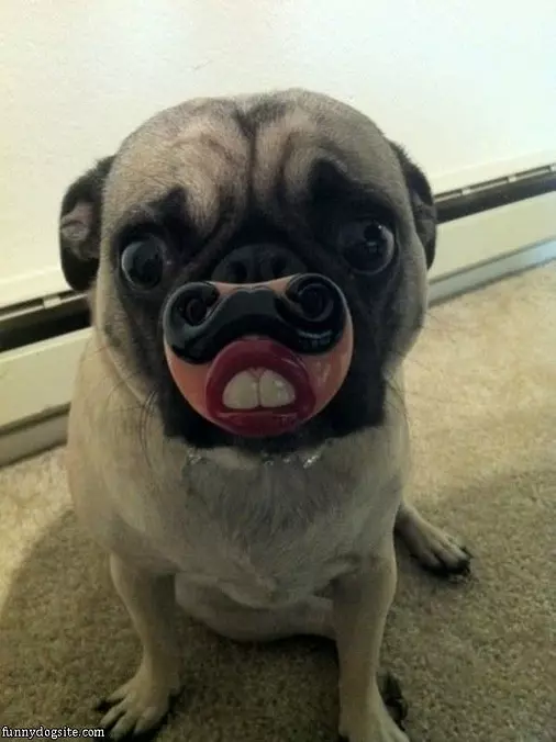 What You Looking At
