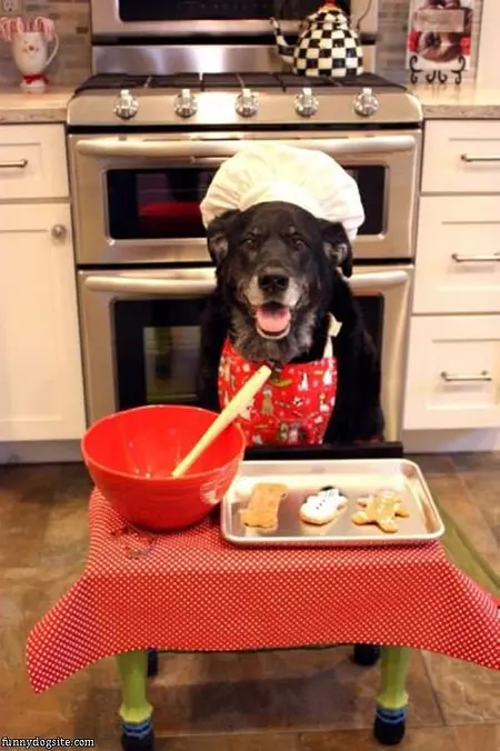Made You Some Dinner