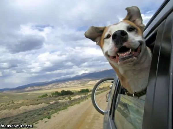 Head Out The Window