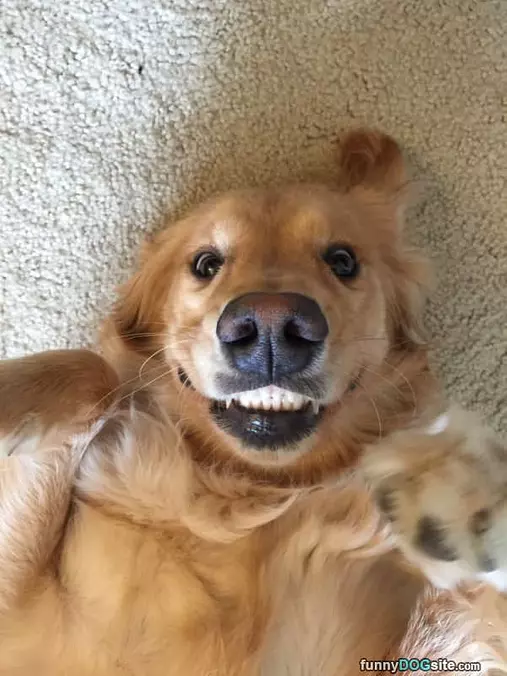 Showing Off My Big Smile
