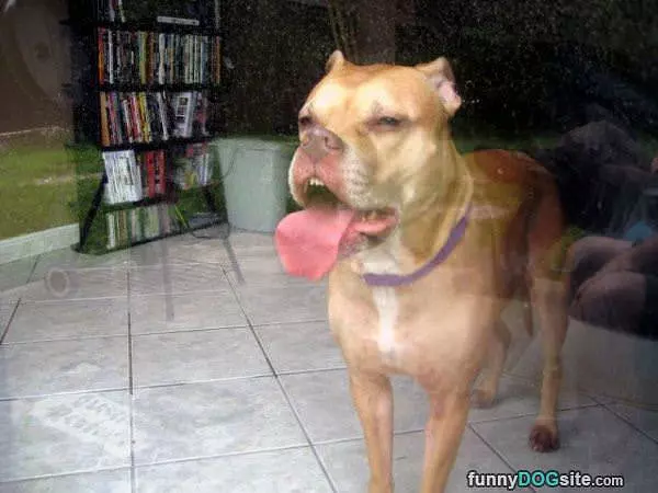 Lickkkkkk