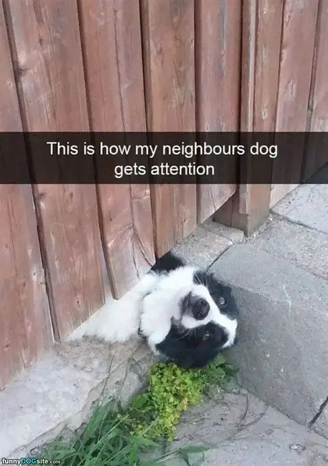 Do I Have Your Attention