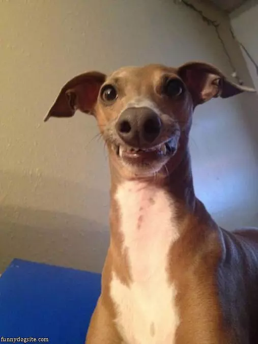 This Is My Smile
