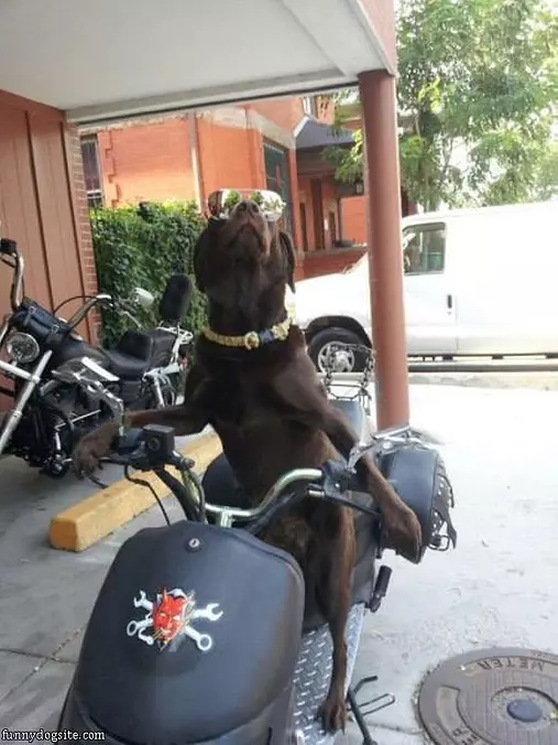 Hop On