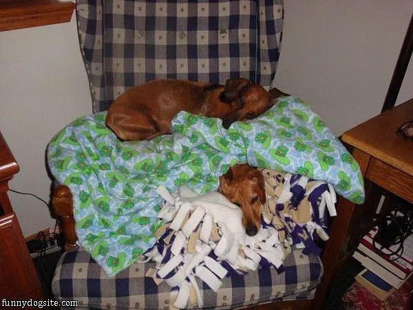 Great Little Nap