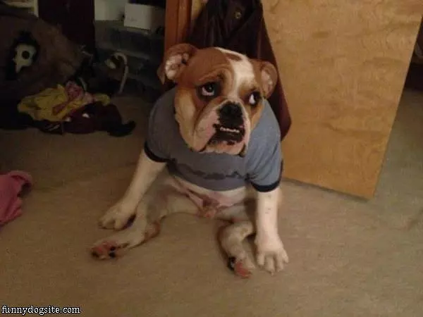 My Shirt Too Small