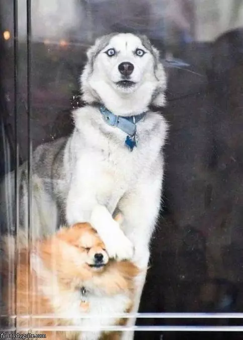 Did You See That
