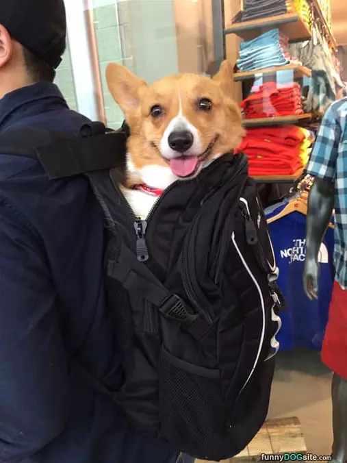 Wasssssup Guys