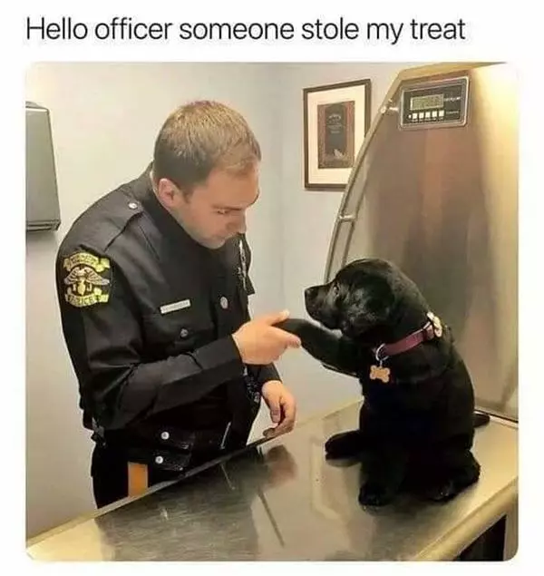 Someone Stole My Treat