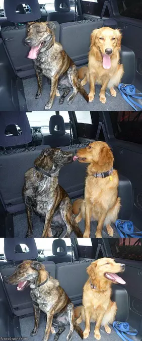 Kisses