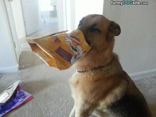 The Snack Mask