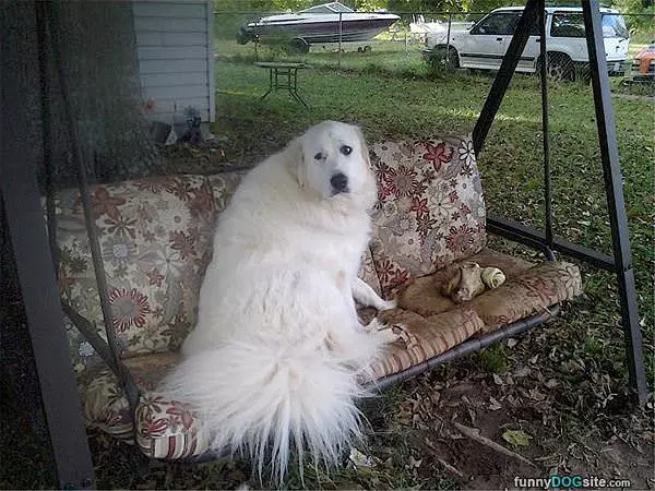 Ill Take This Bed Thanks