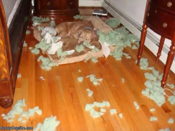 My Bed Better Now