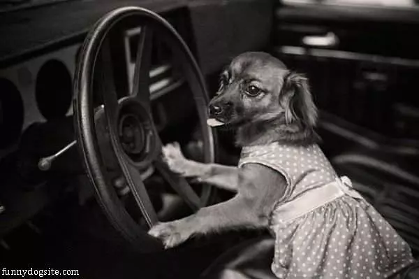 Going For A Ride