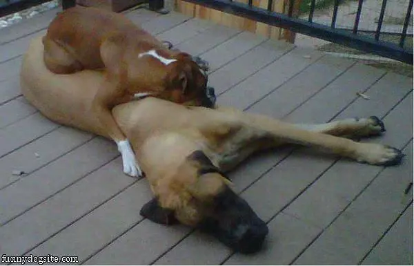 Comfortable Bed