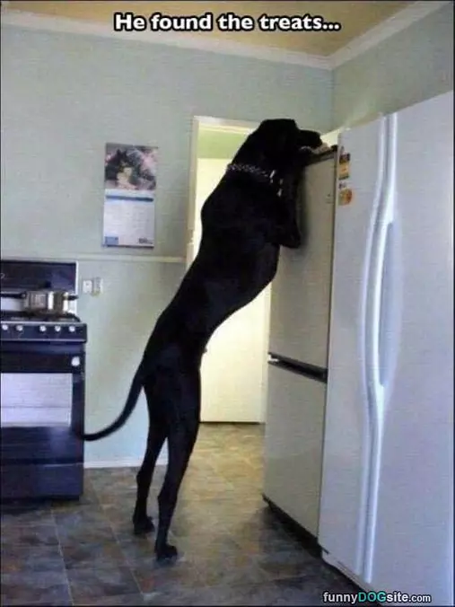 Found The Treats