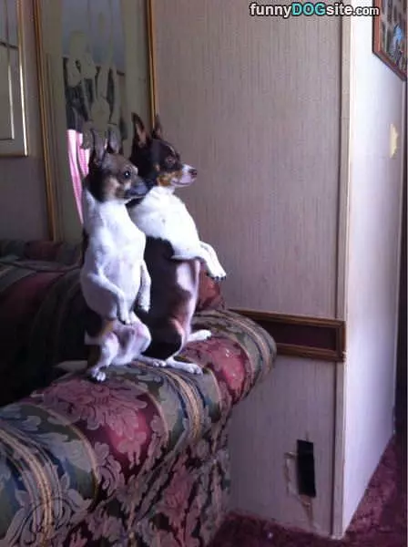 Sitting Up