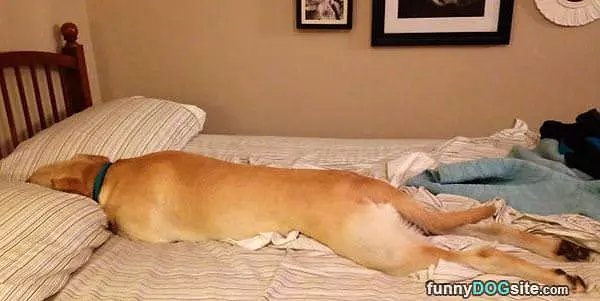 Been A Long Day