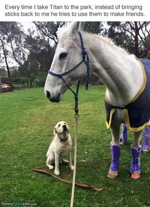 Making New Friends