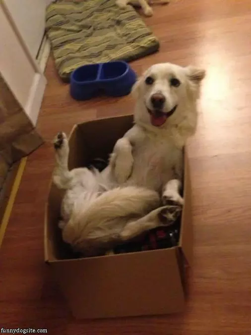 Just Chillin In Here