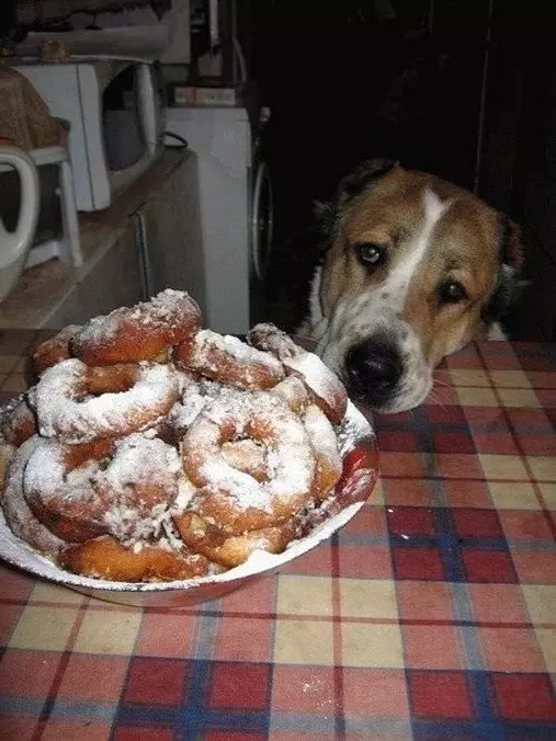 Pleeeeeease Just One