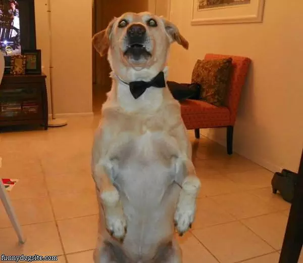 Can I Have More Snacks
