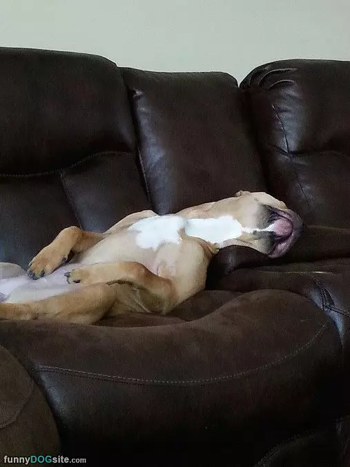 Snooze